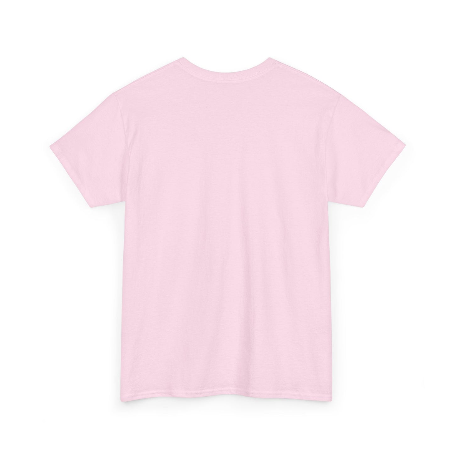 Just a Girl Who Loves Her Students Tee